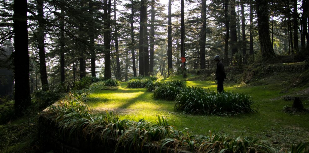 arsh-usman-qkqgA6TUmDA-unsplash